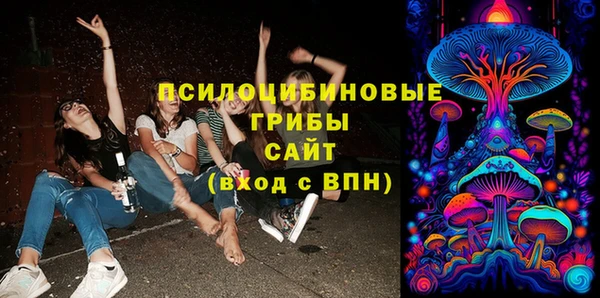 прущая мука Армянск