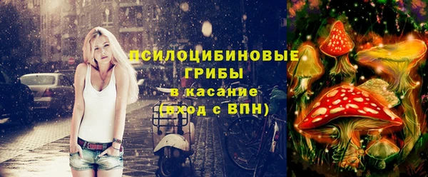 прущая мука Армянск