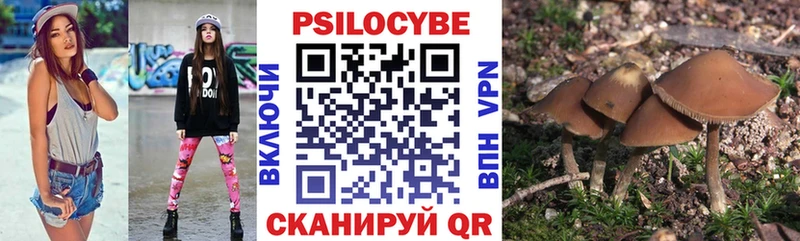 купить   Петушки  Галлюциногенные грибы ЛСД 